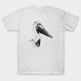 Pelican T-Shirt